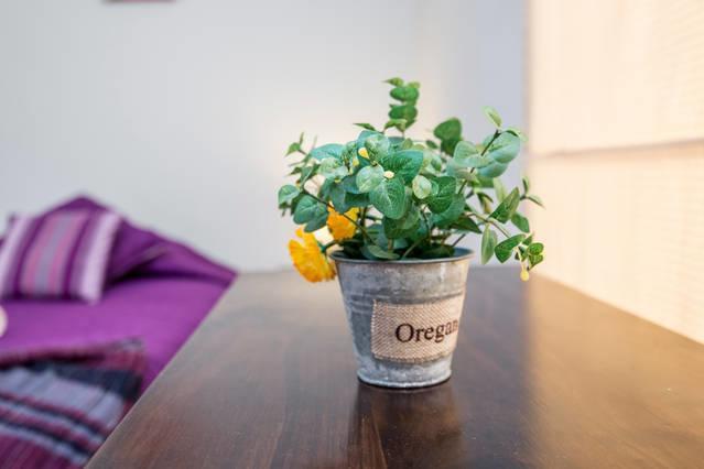 Pier 242 Miraflores B&B Lima Pokoj fotografie